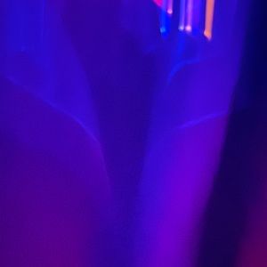 Meet your Posher, Shirley